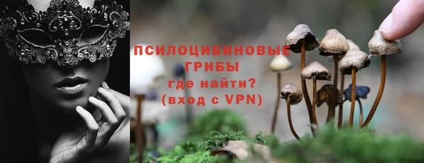 PSILOCYBIN Верхний Тагил