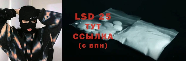 PSILOCYBIN Верхний Тагил